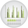 Forest Statistics