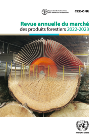 Revenue annuelle du marche - publication cover