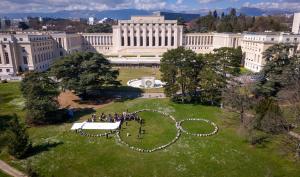 International Day of Forests 2024